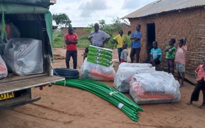 Harnessing the Power of Nature in Congo!